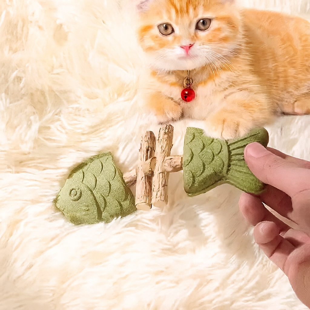 Catnip Fishbone Toy