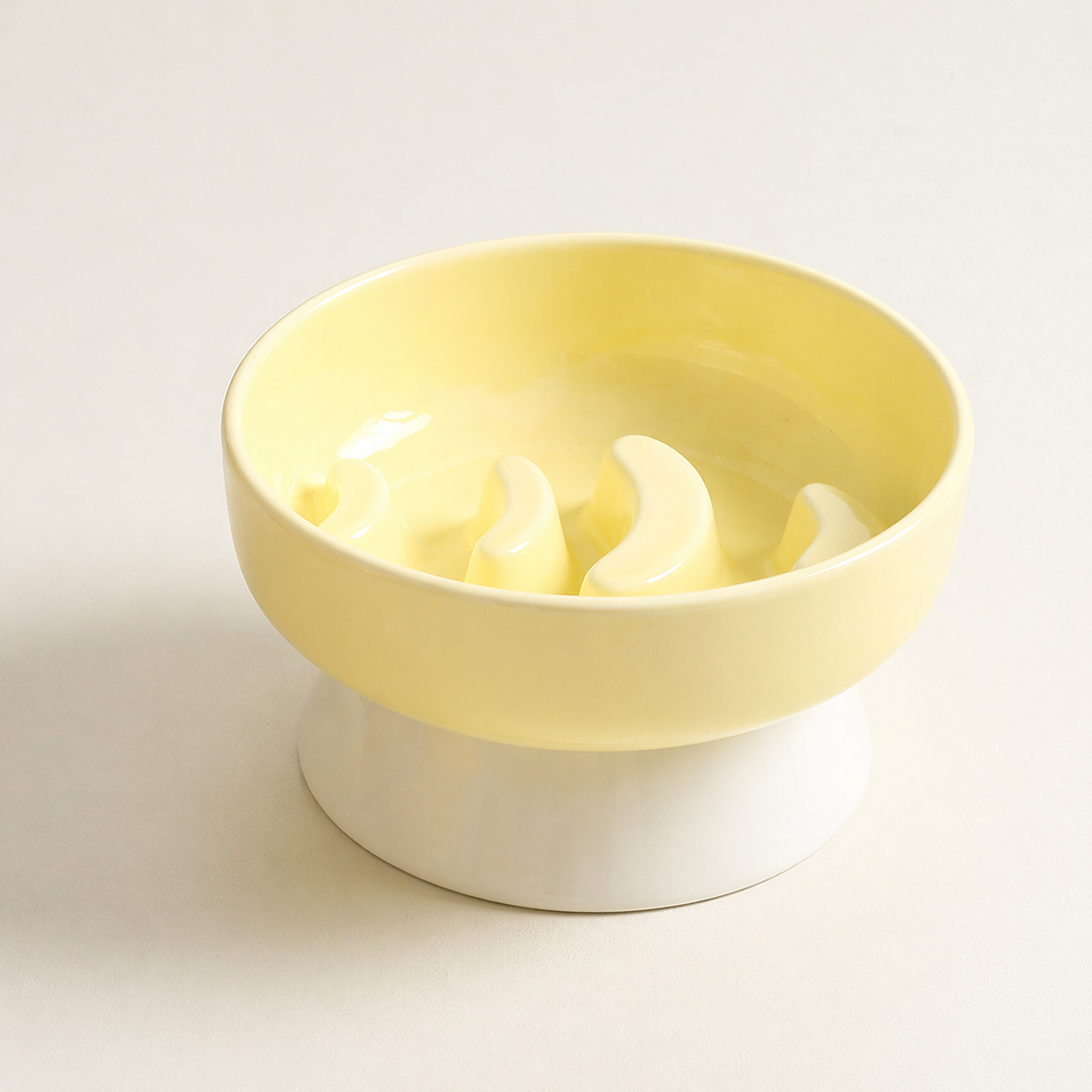 Elevated Ceramic Slow Feeder Bowl