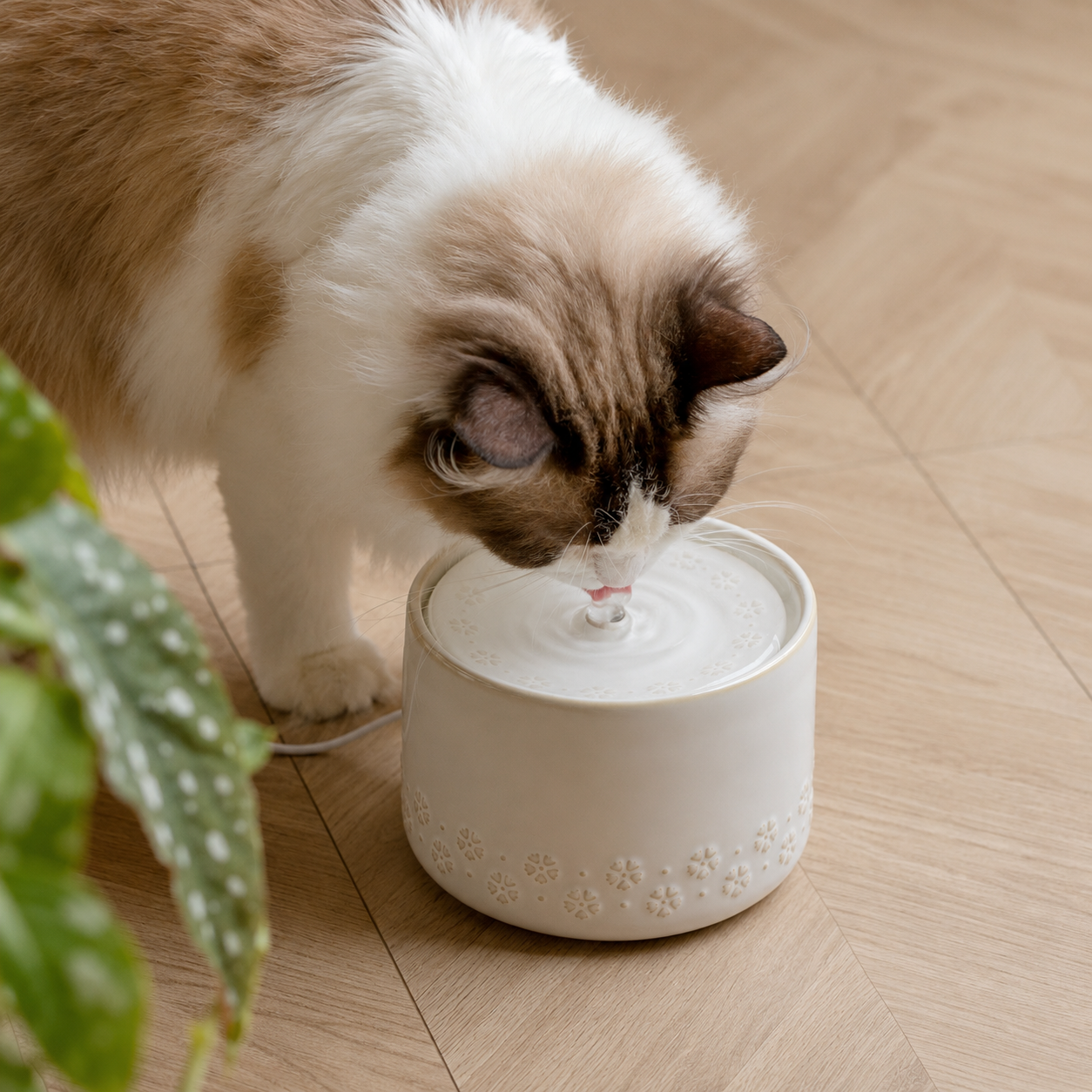 Ceramic Pet Water Fountain – Automatic Drinking Fountain for Cats & Small Dogs
