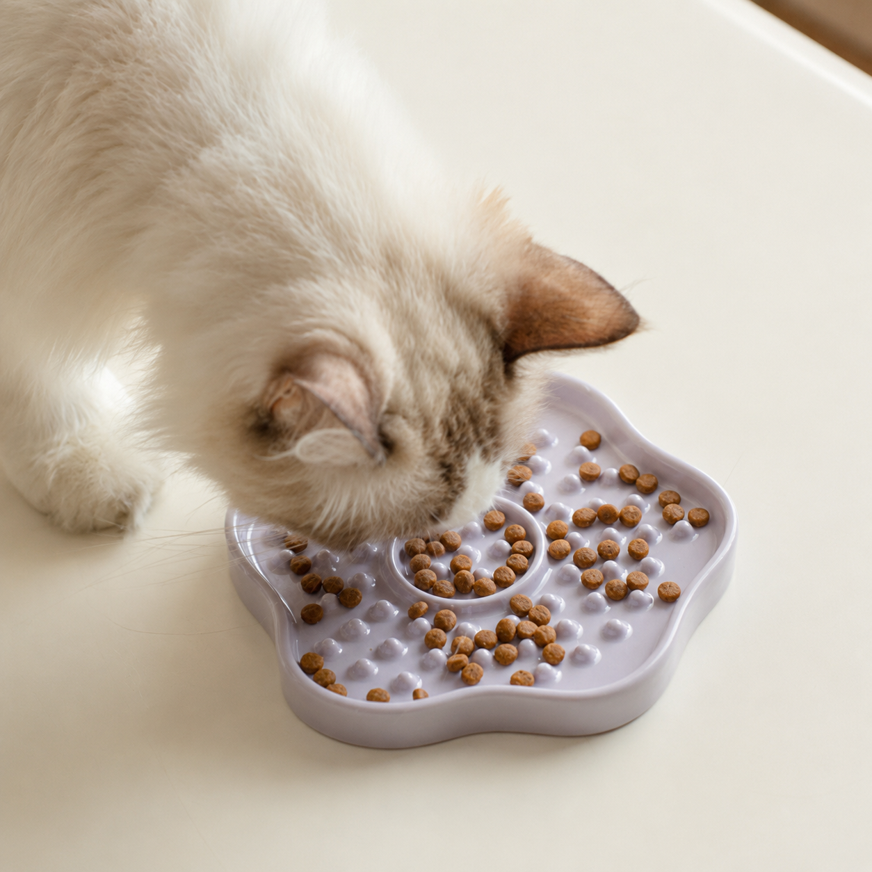 6-Inch Ceramic Lick Plate for Cats – Slow Feeder Enrichment Dish