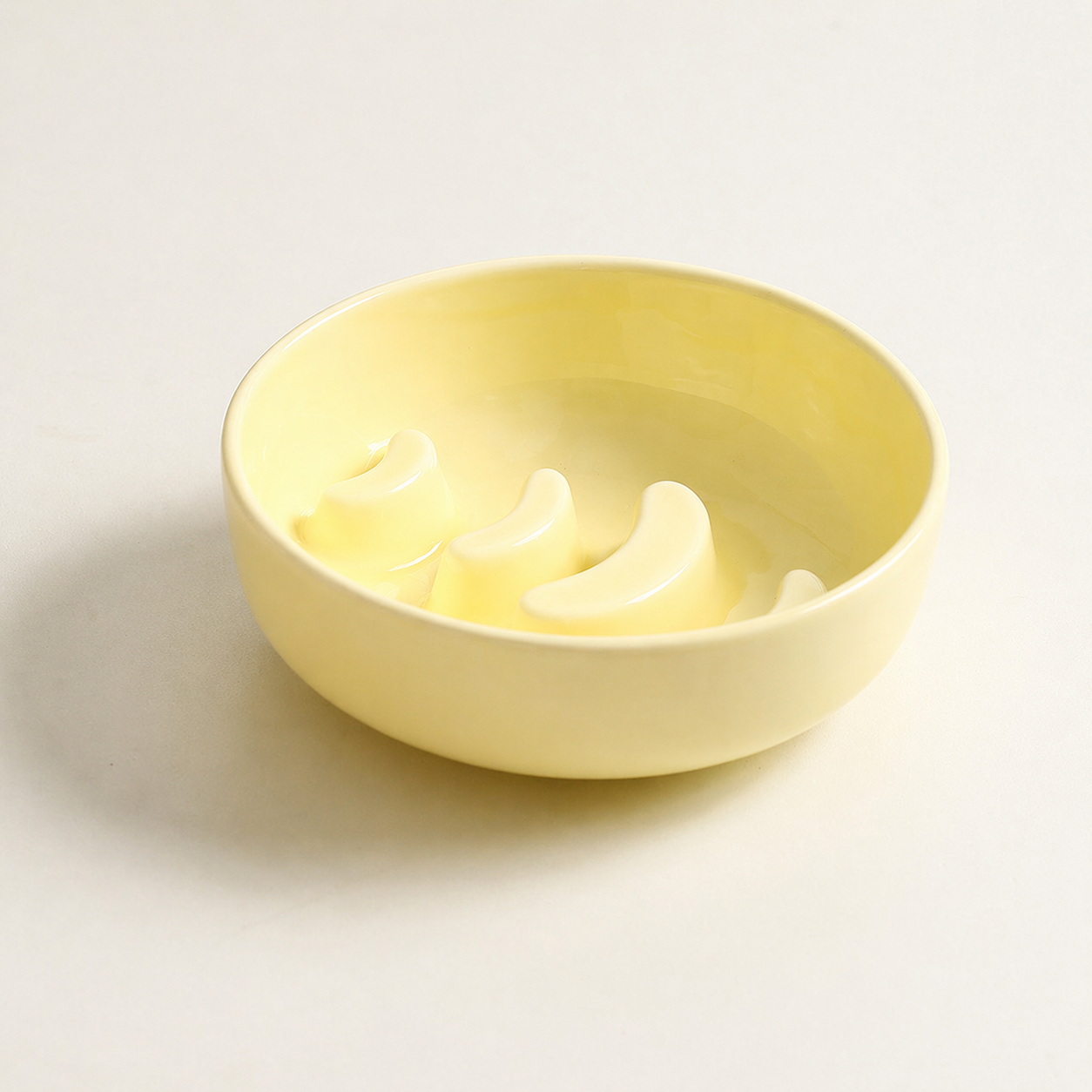 Elevated Ceramic Slow Feeder Bowl