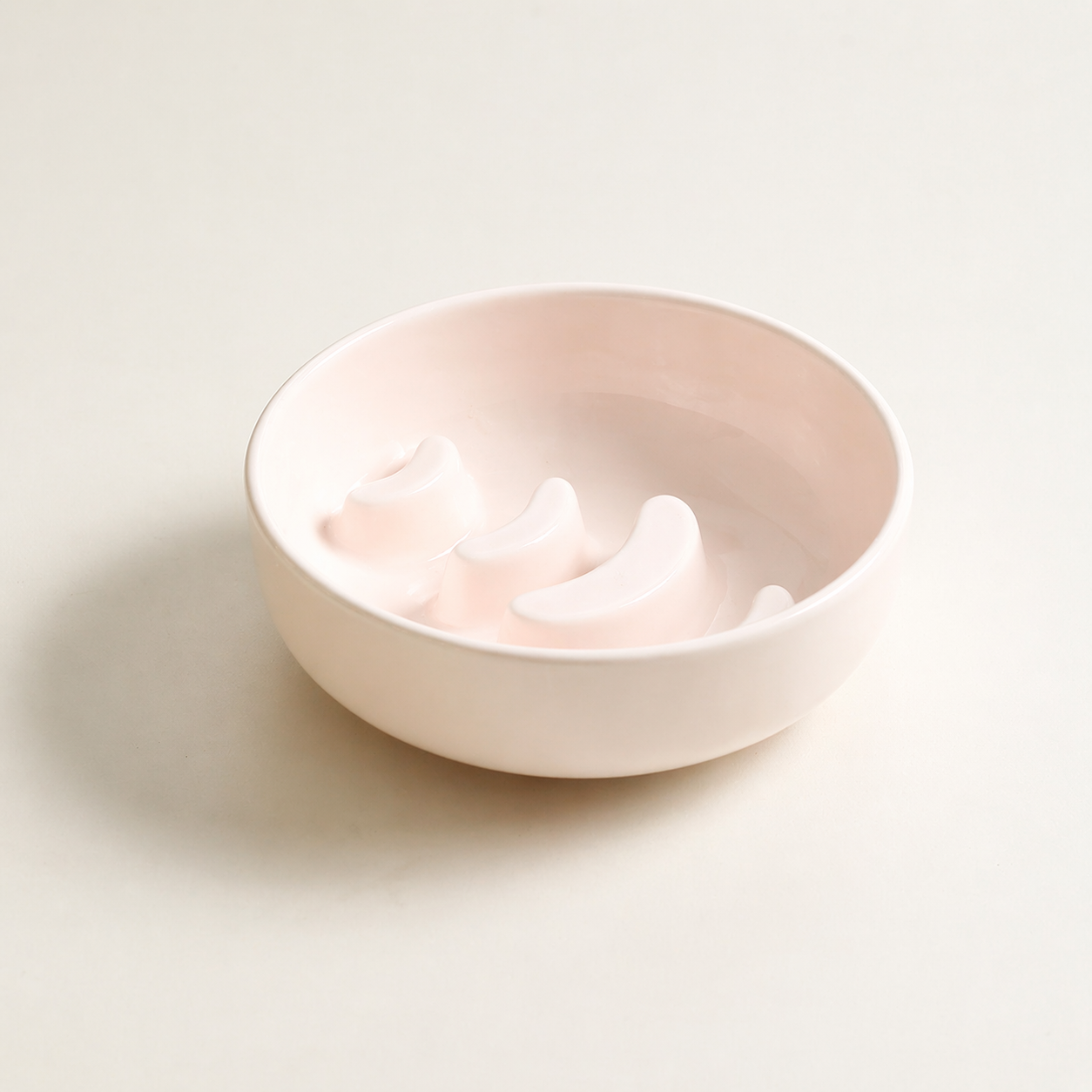 Elevated Ceramic Slow Feeder Bowl