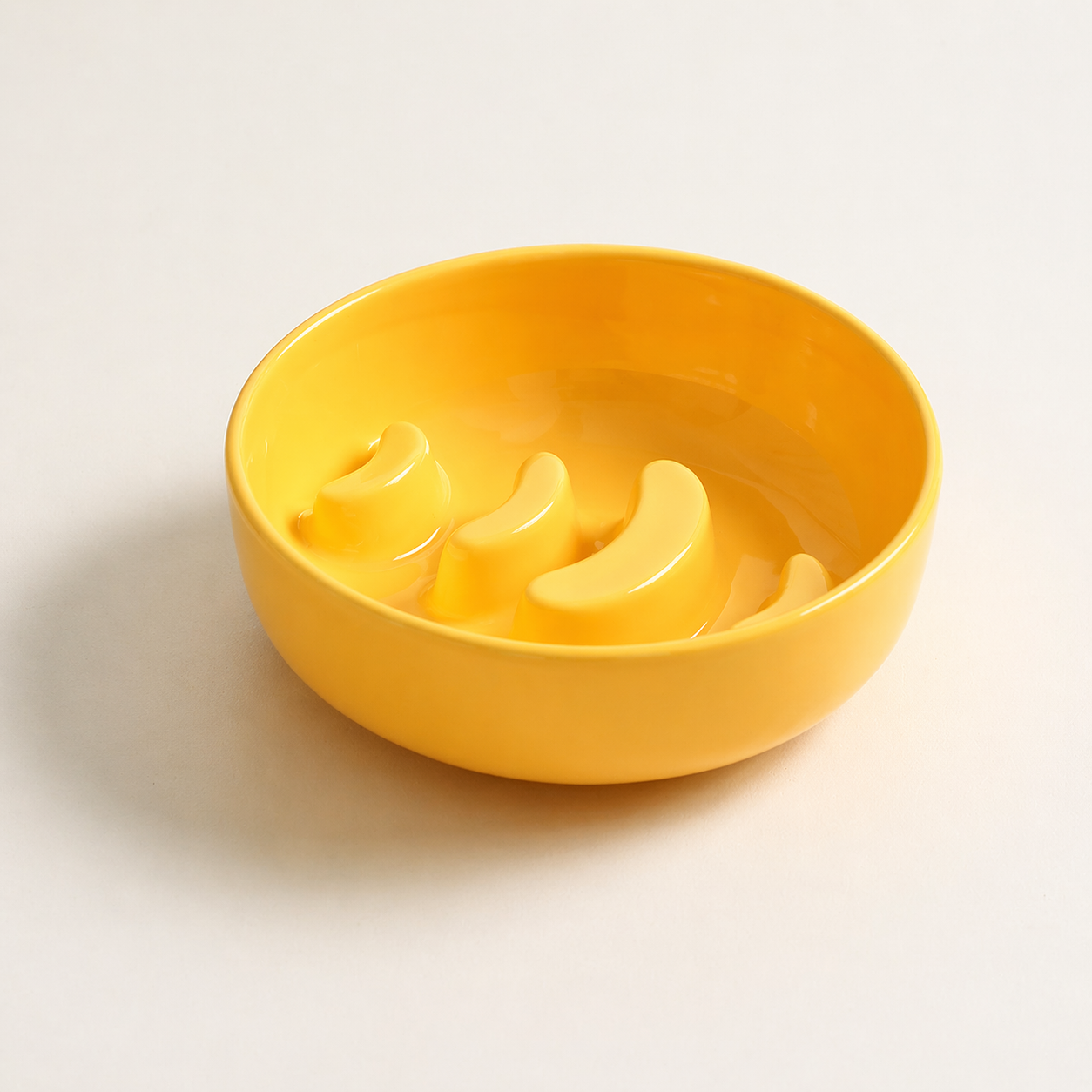 Elevated Ceramic Slow Feeder Bowl