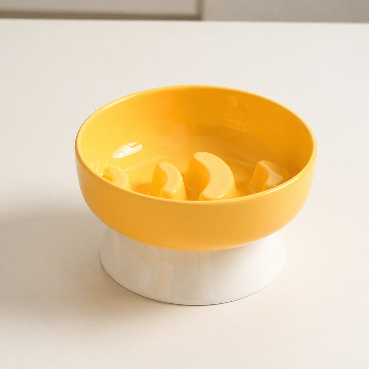 Elevated Ceramic Slow Feeder Bowl