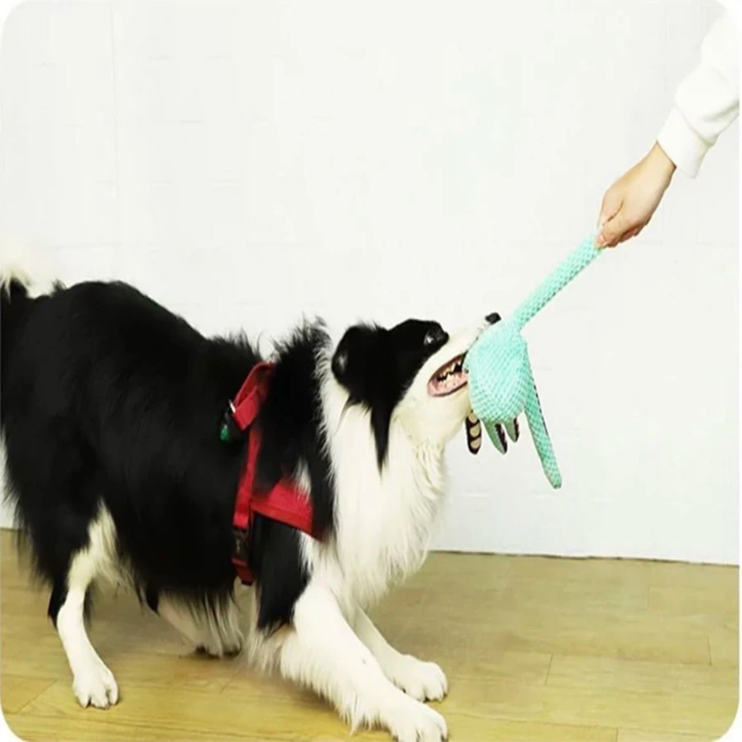 Plush Octopus Squeaky Dog Toy-Chew pet toys