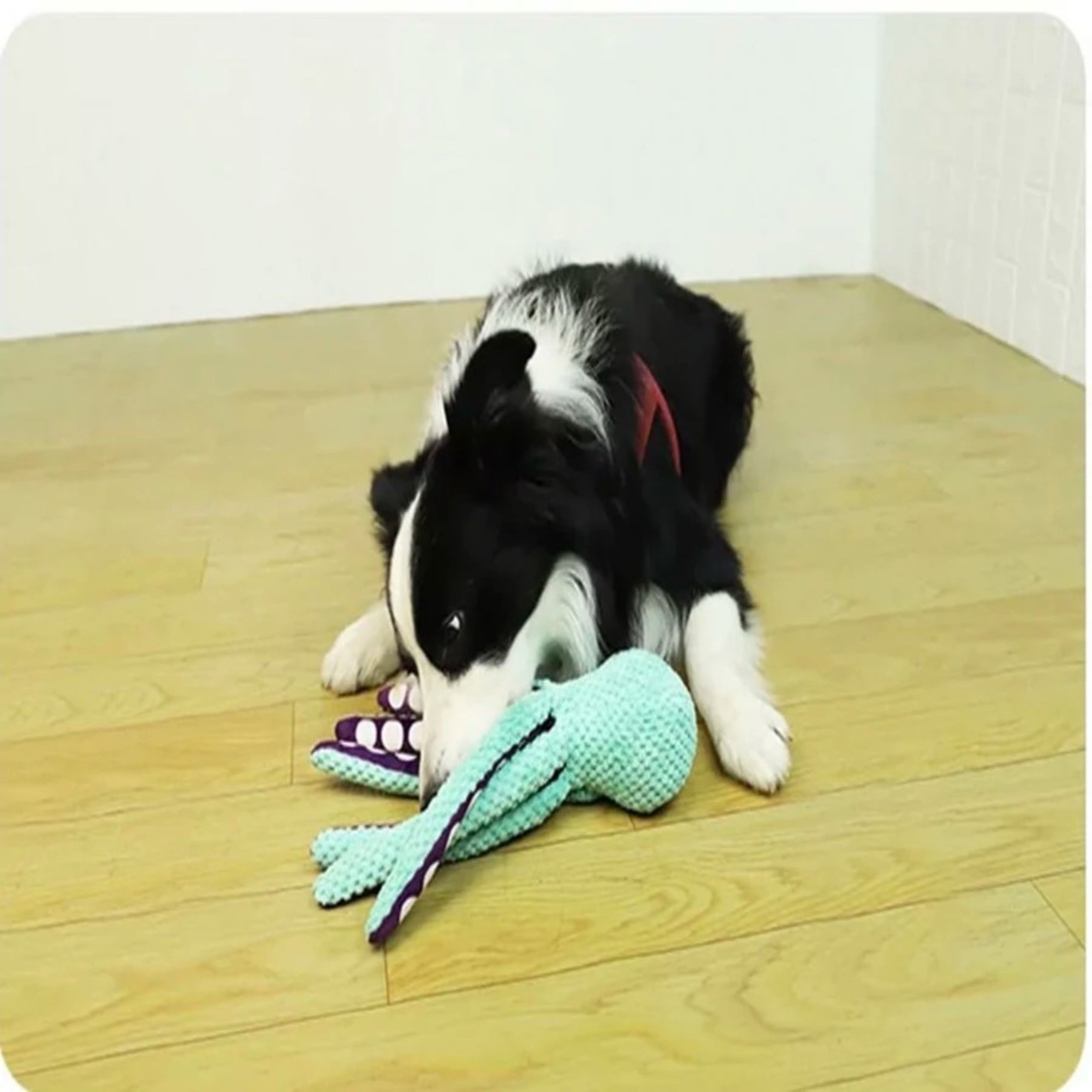 Plush Octopus Squeaky Dog Toy-Chew pet toys