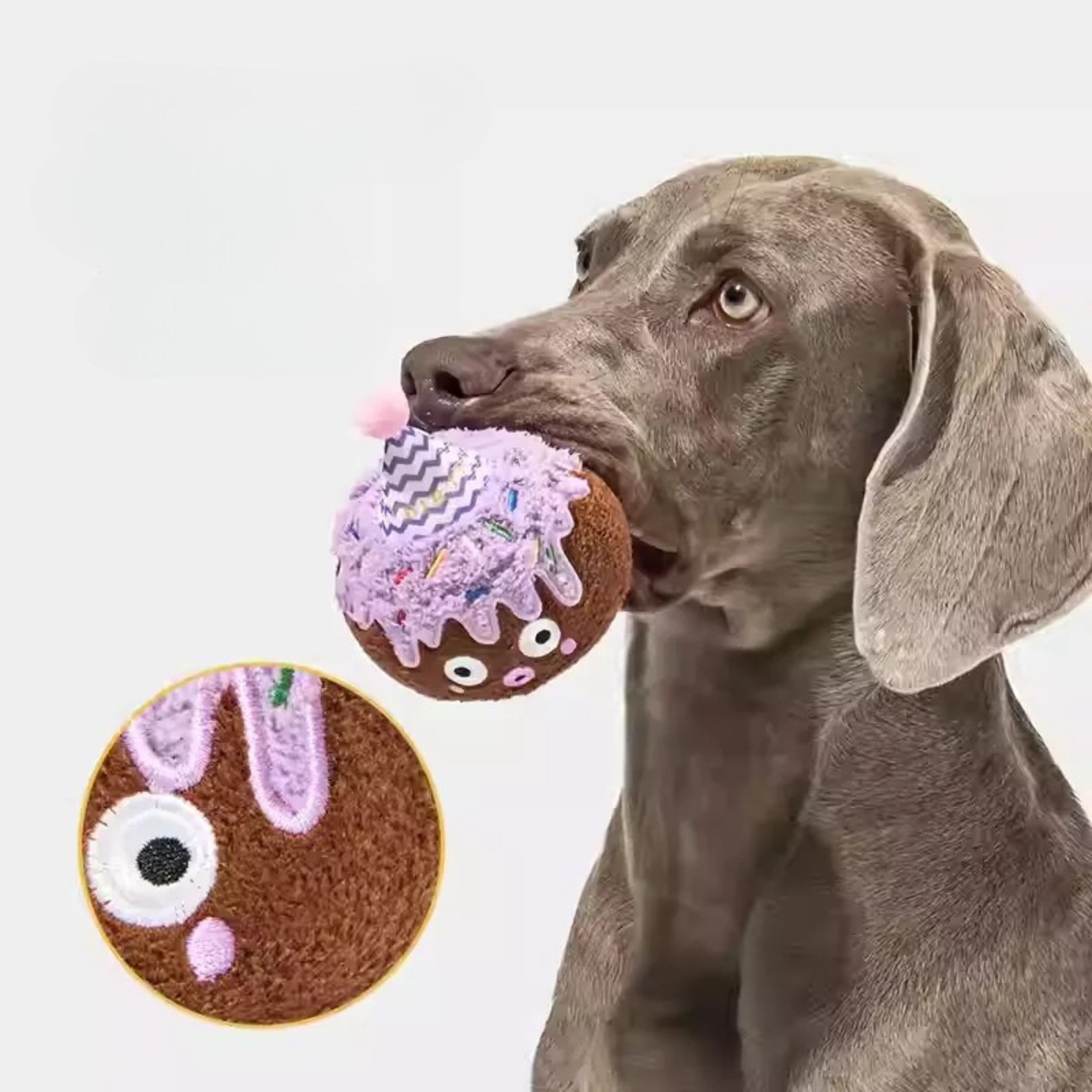 Plush Squeaky Dog Toy – Durable Chew-Resistant Sound Toy