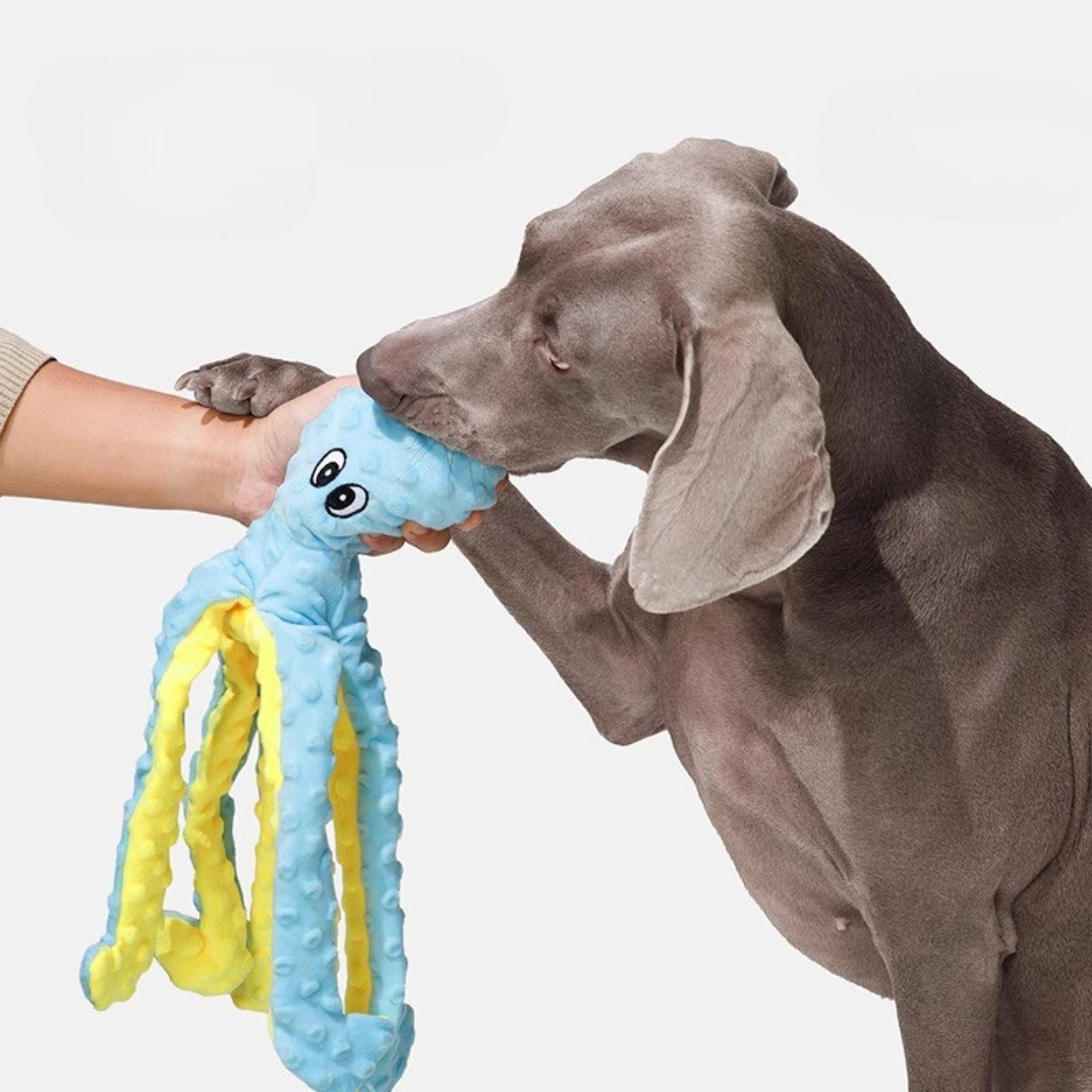 Large Plush Octopus Dog Toy – BB Squeaker and Chew Toy for Pets