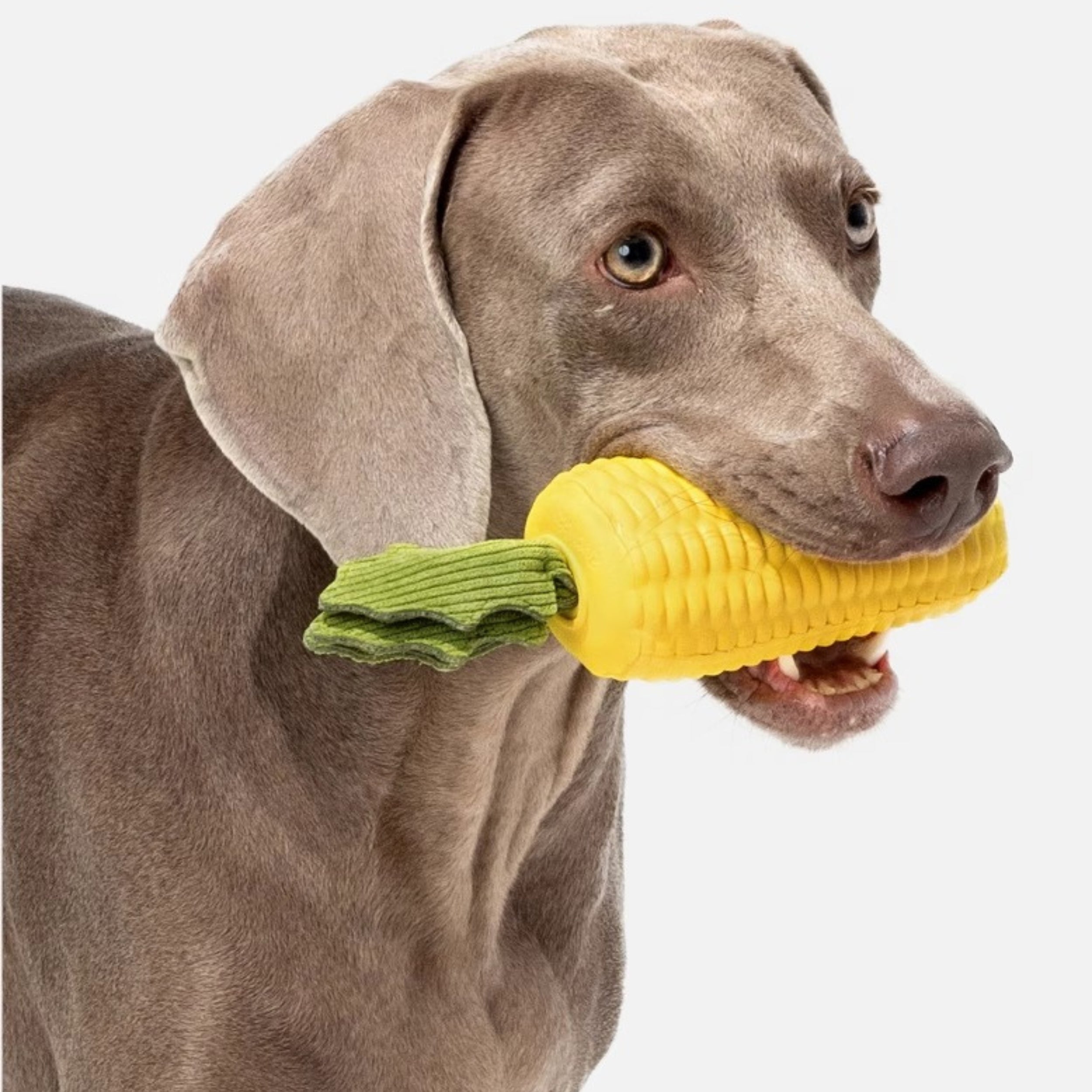 Realistic Corn Dog Chew Toy – Durable Squeaky Tooth-Cleaning Toy for Small & Medium Dogs, Self-Play Interactive Boredom Buster