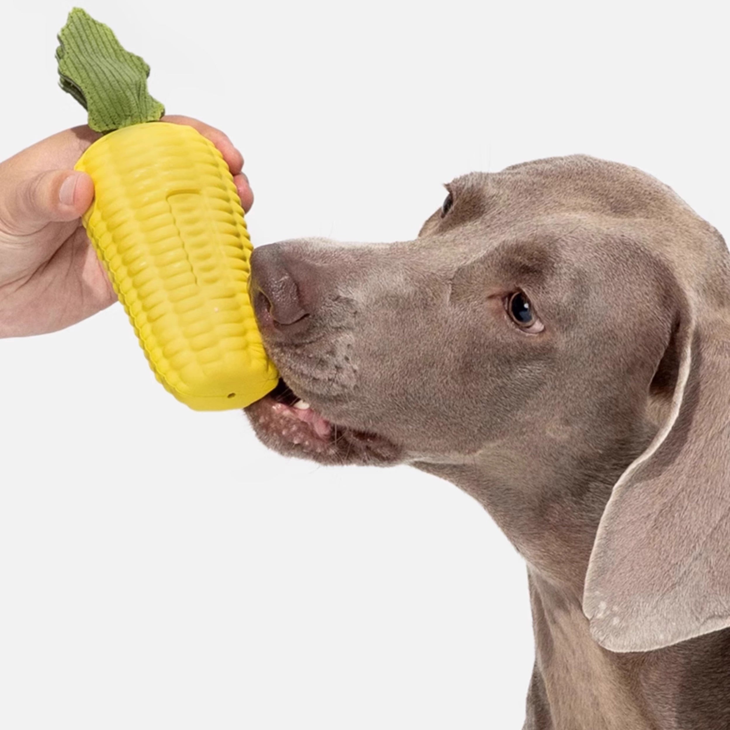 Realistic Corn Dog Chew Toy – Durable Squeaky Tooth-Cleaning Toy for Small & Medium Dogs, Self-Play Interactive Boredom Buster