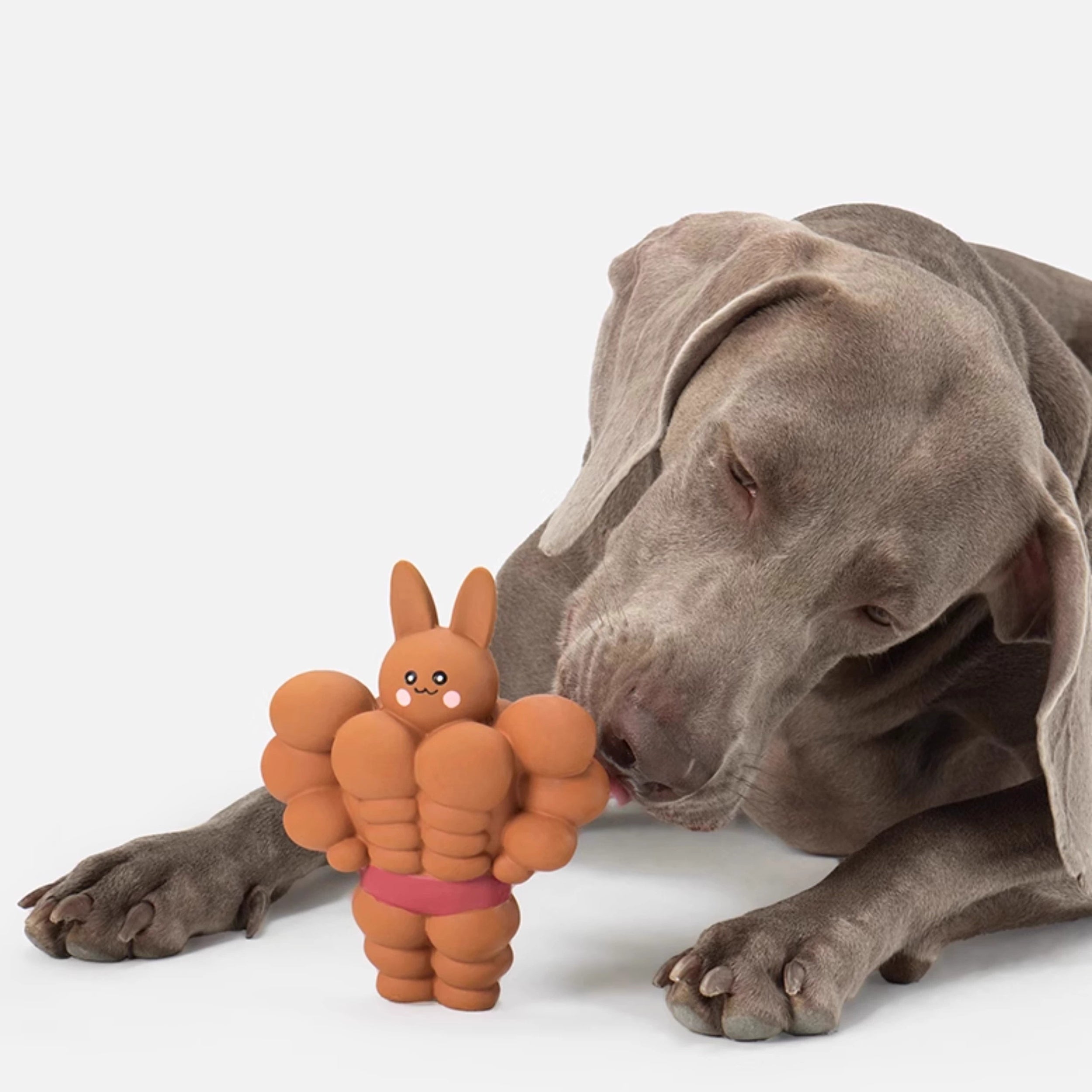 Muscle Bunny Dog Toy – Chew and Squeaky toy