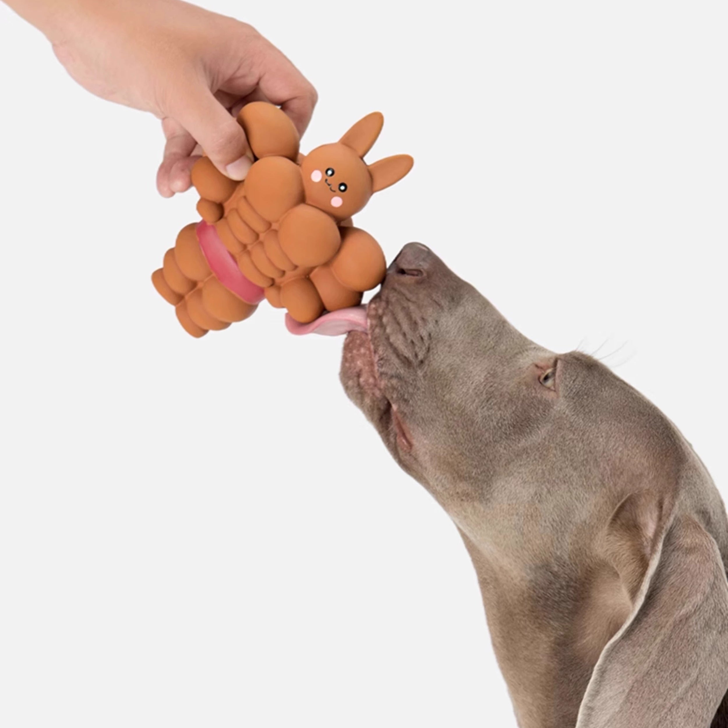 Muscle Bunny Dog Toy – Chew and Squeaky toy