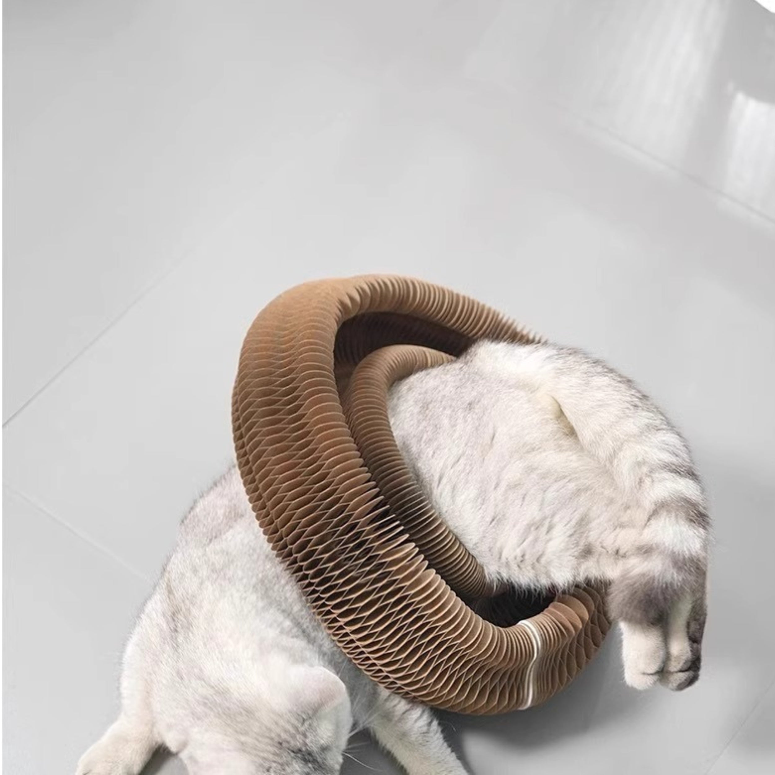 Accordion Cat Scratcher Bed – Corrugated Cardboard Scratch Lounge, Foldable & Durable