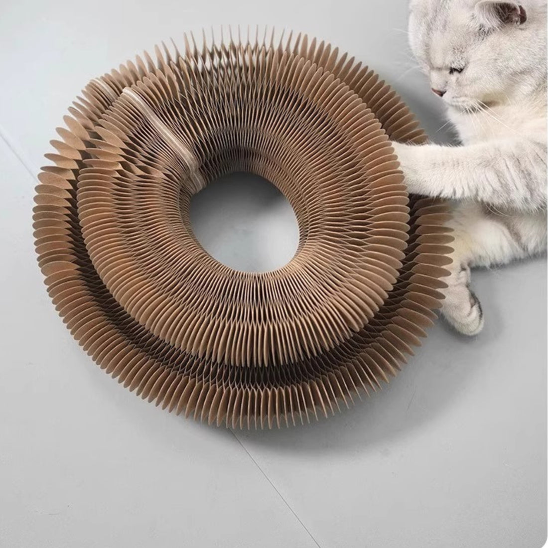 Accordion Cat Scratcher Bed – Corrugated Cardboard Scratch Lounge, Foldable & Durable