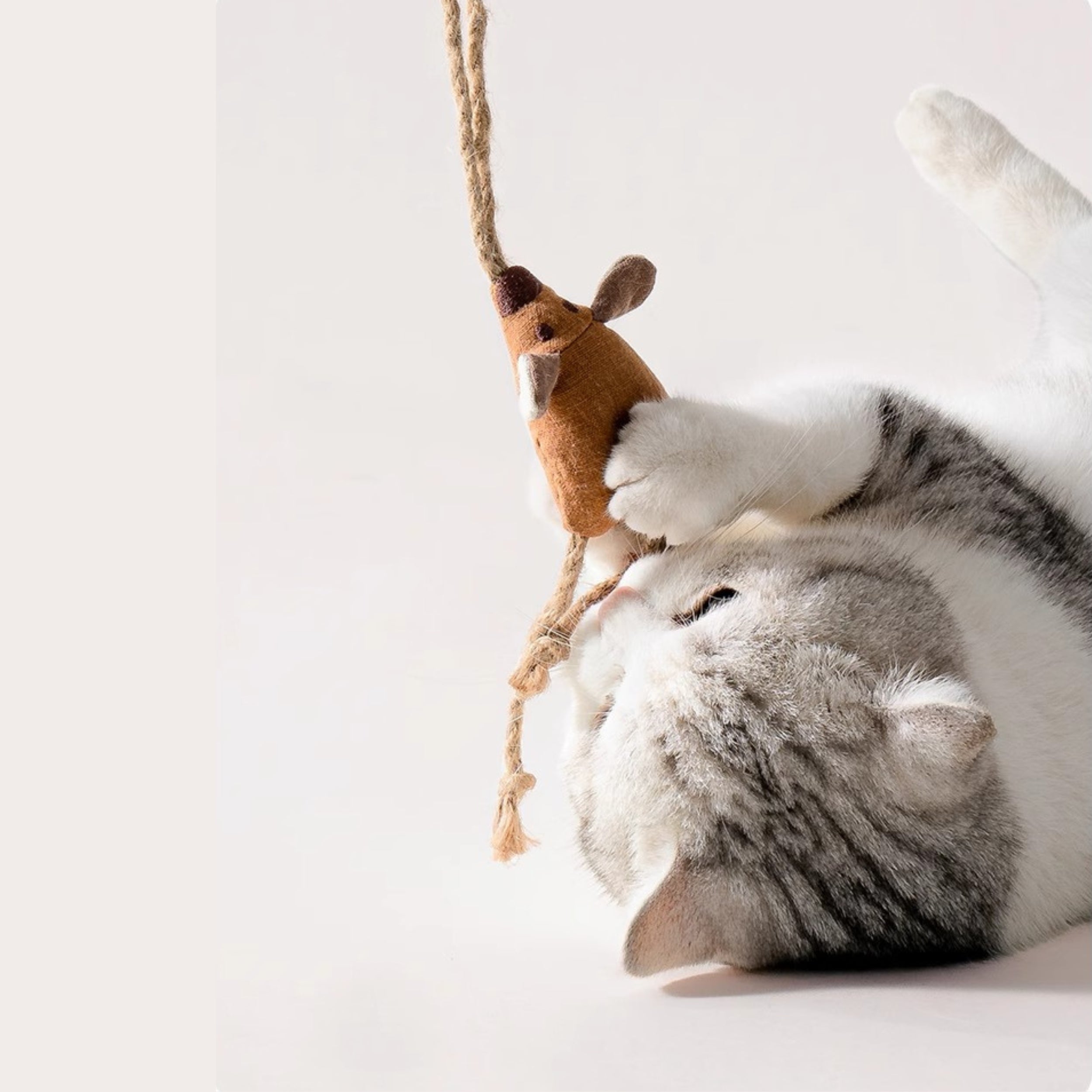 4pcs Cat Teaser Wand Set with Catnip Chew Toys – Handmade Cotton-Linen Natural Material