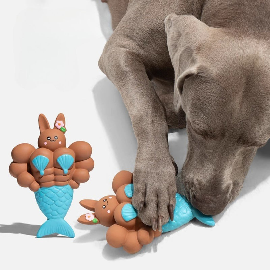 Latex Squeaky Bunny Dog Toy – Durable Chew & Teeth Cleaning Toy