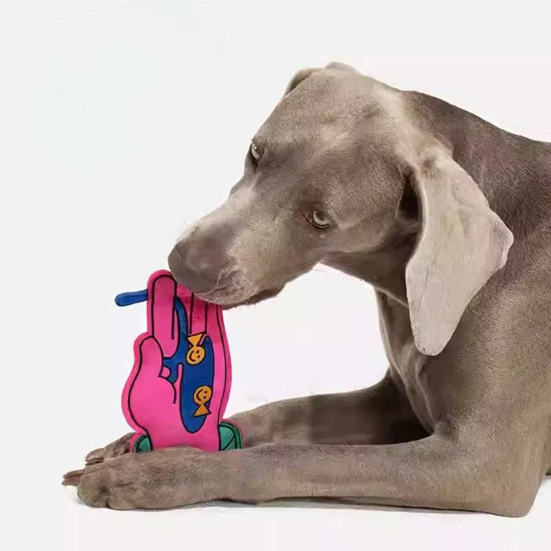 Squeaky Flying Disc Dog Toy – Self-Play & Interactive Pet Toy