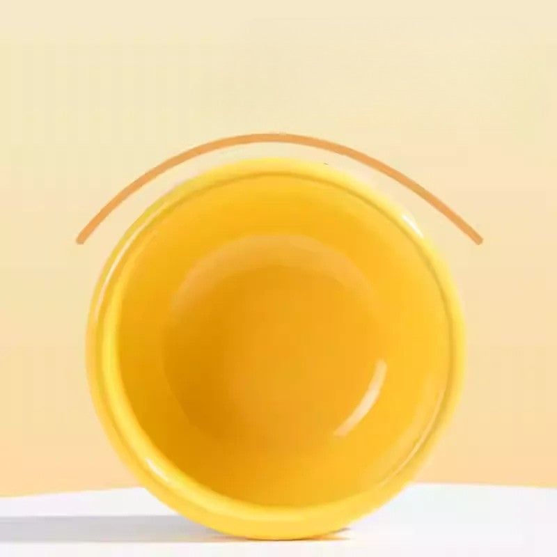 Tilted Ceramic Elevated Cat Bowl