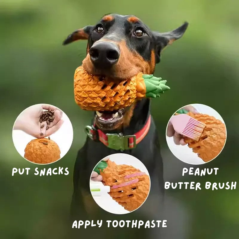 Durable Dog Treat Ball – Chew Toy