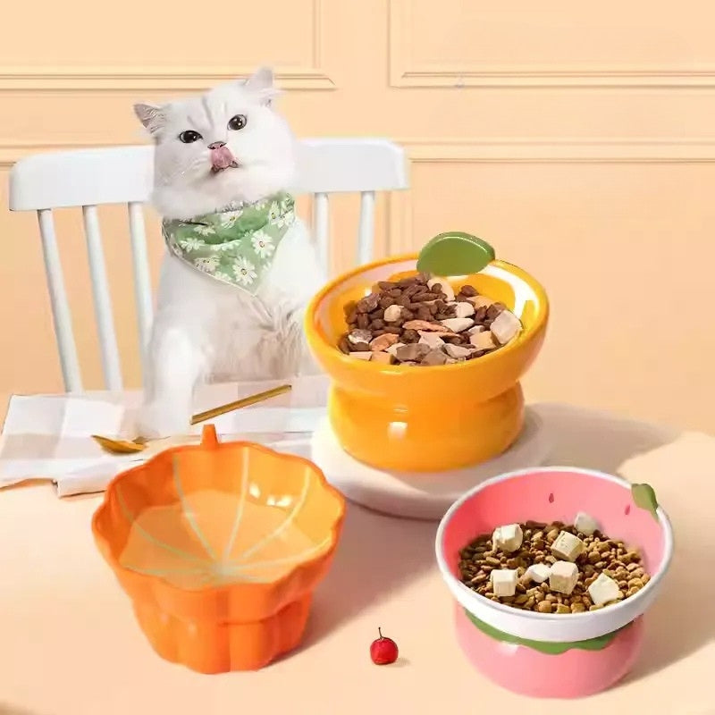 Tilted Ceramic Cat Bowl – No Spill