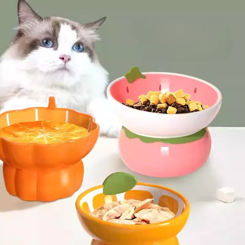 Tilted Ceramic Cat Bowl – No Spill