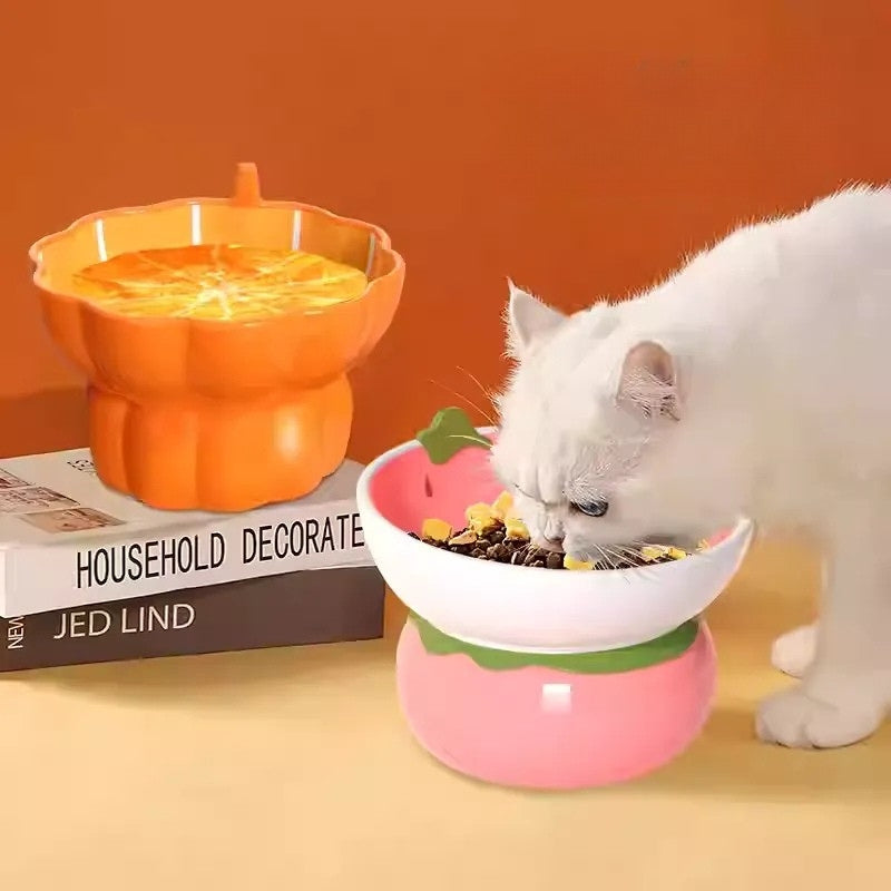 Tilted Ceramic Cat Bowl – No Spill