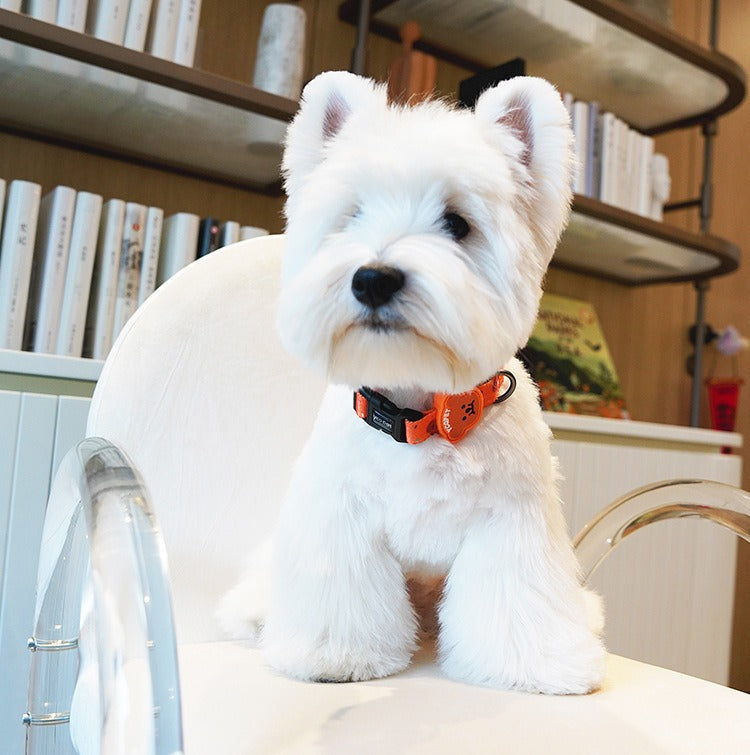 Adjustable Pet Collar