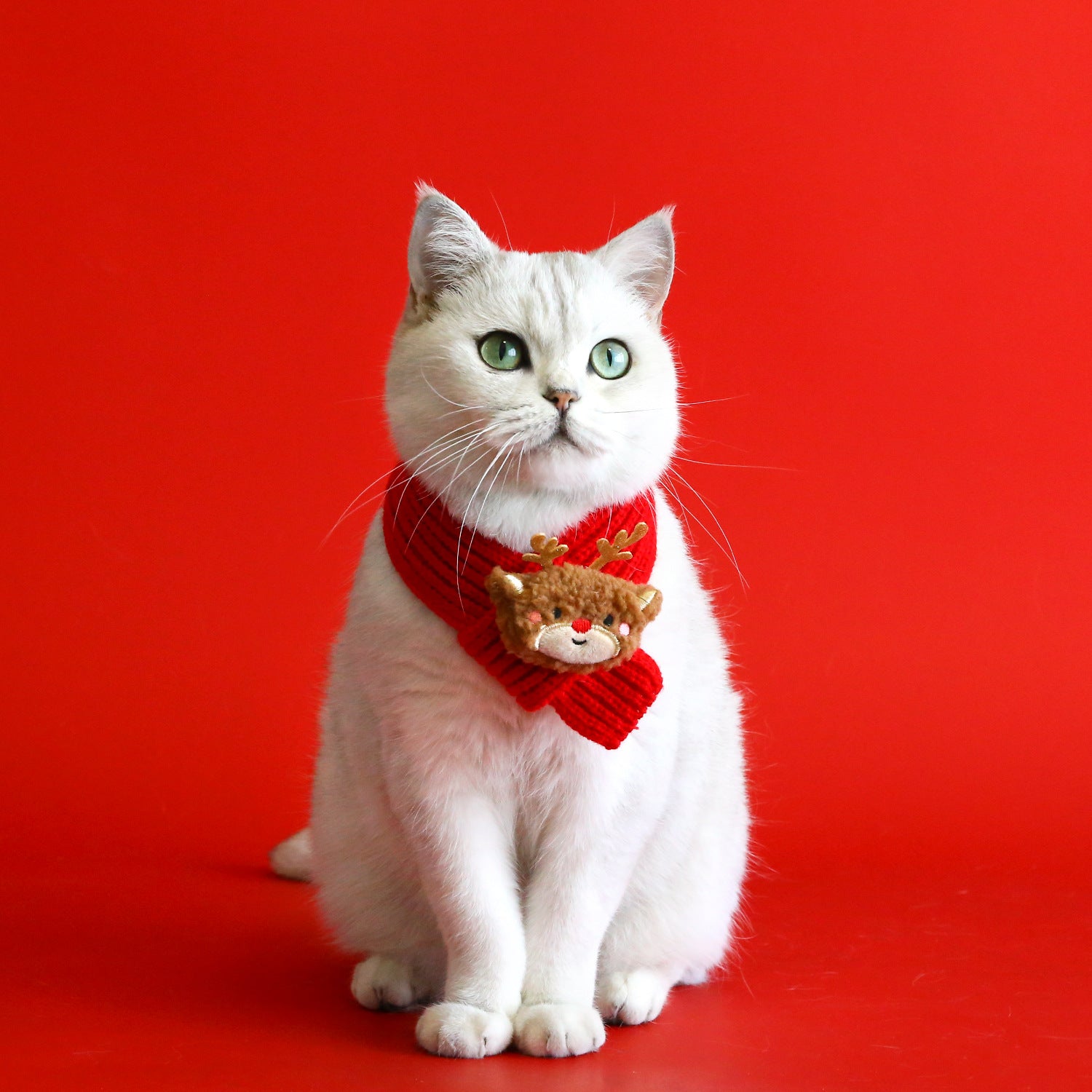 Holiday Knitted Pet Scarf & Hat Set