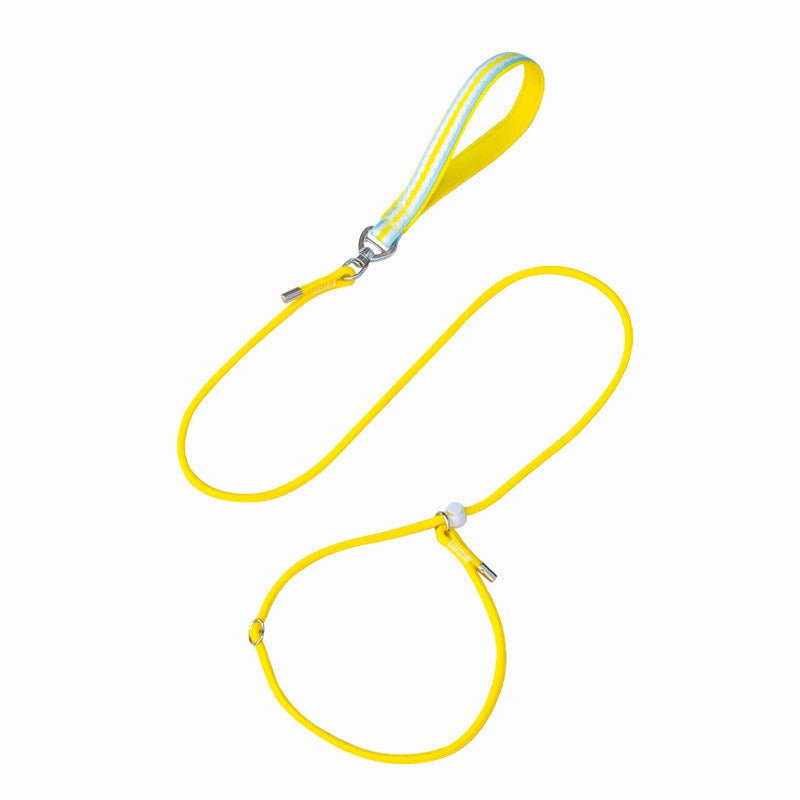 Anti-Choke Training P Leash for Dogs｜Slip-Style Lead