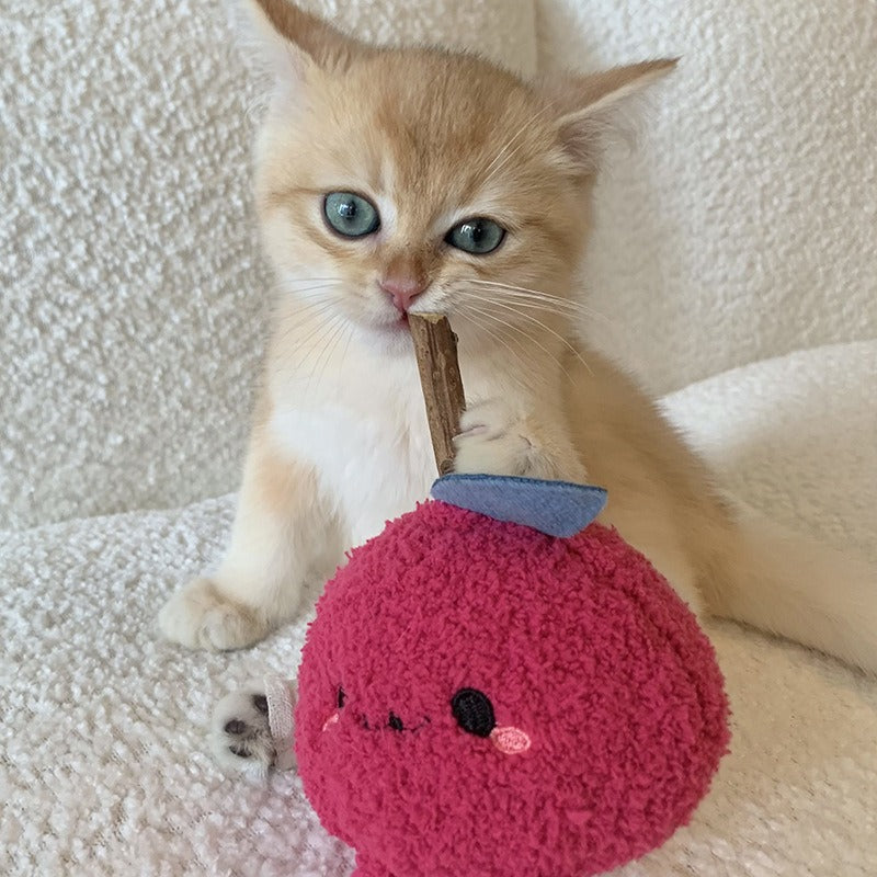Cat Chew Toy – Natural Dental Chewing Toy for Cats