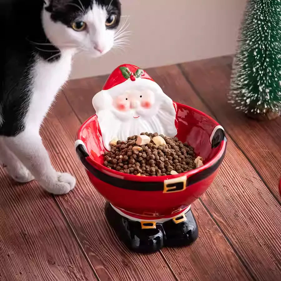 Christmas Ceramic Raised Pet Bowl