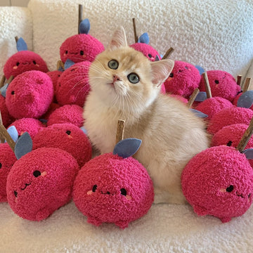 Cat Chew Toy – Natural Dental Chewing Toy for Cats