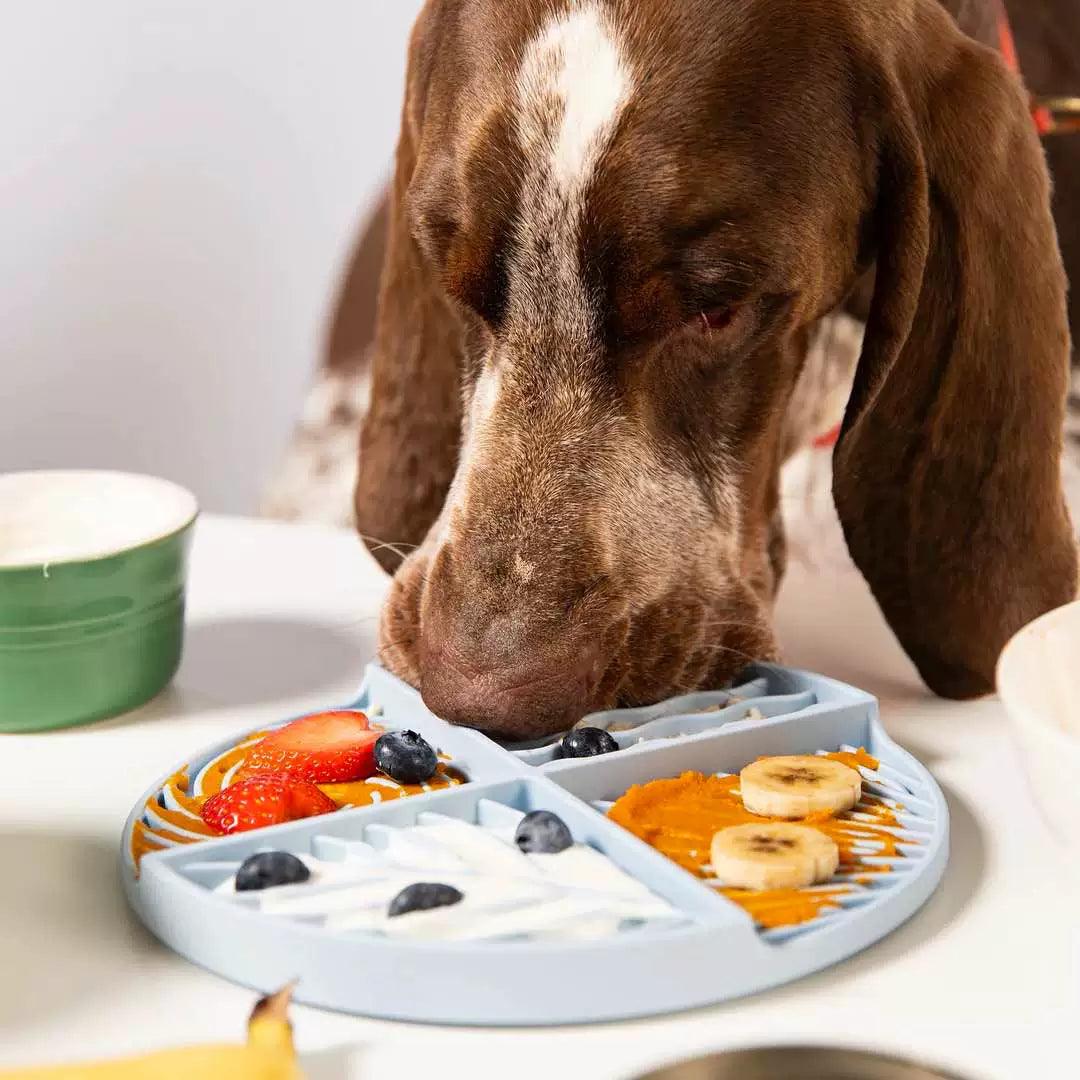Puzzle Feeder slow feeding mat - NoKa&AuroraStone