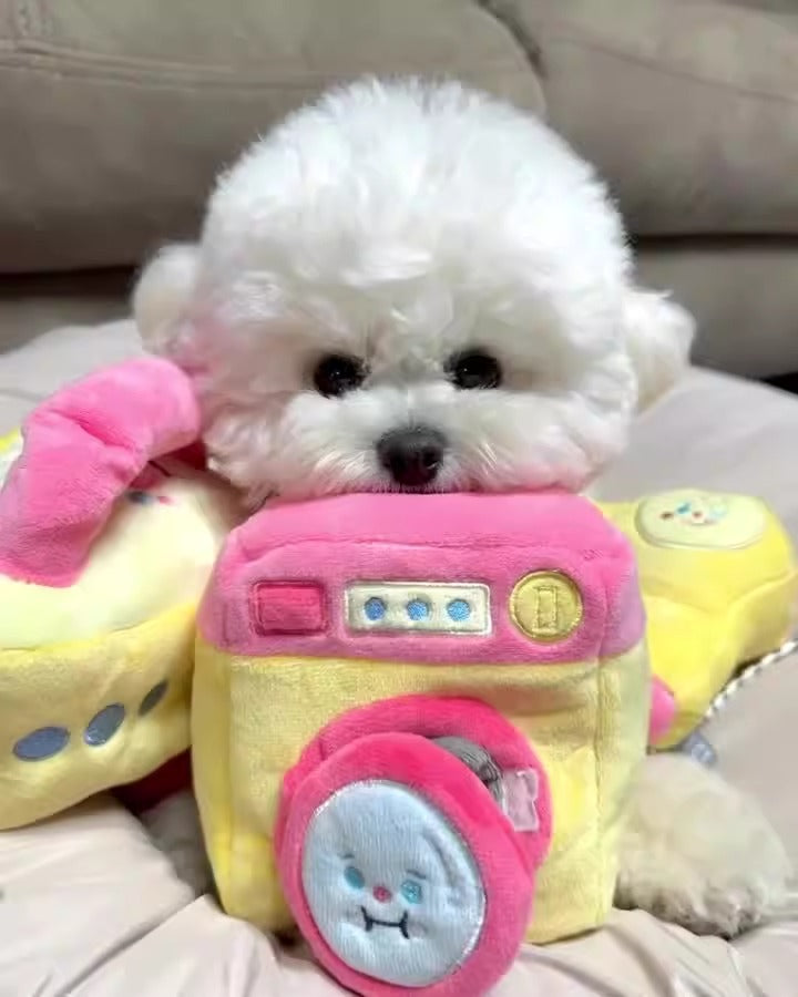 Interactive Snuffle Toy for Dogs and Cats – Soft Hide-and-Seek Chew Toy for Mental Stimulation & Slow Feeding