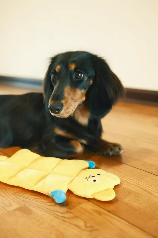 2get 1 free Durable Squeaky Dog Toy – Interactive Chew Sound Toy for all Dogs