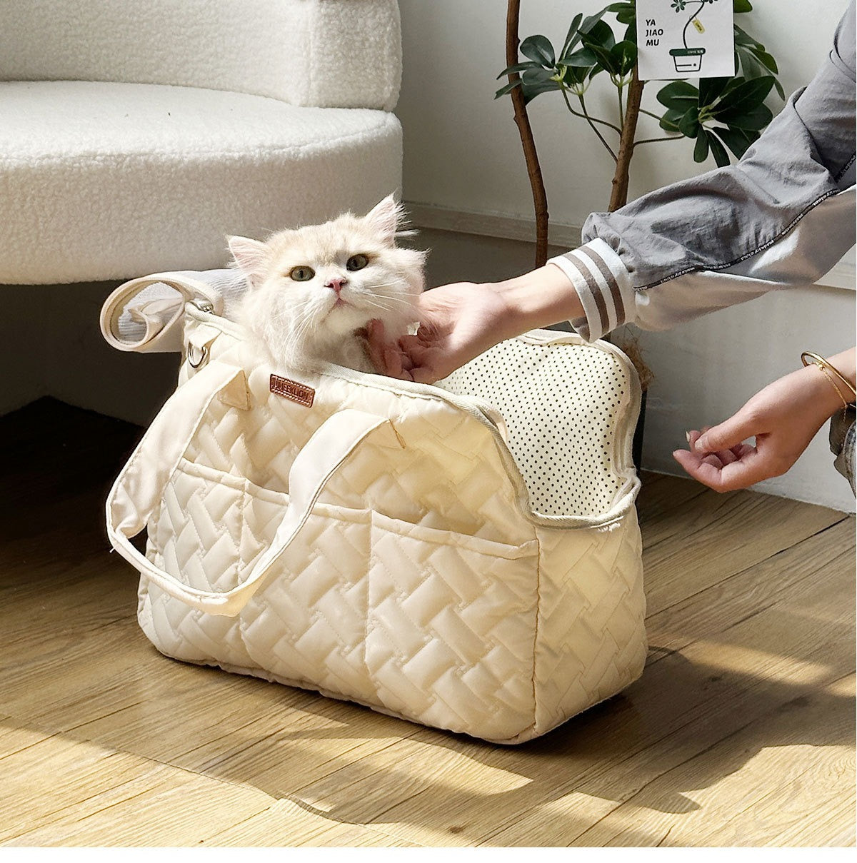 Portable Pet Carrier Bag for Small Animals |Breathable & Lightweight