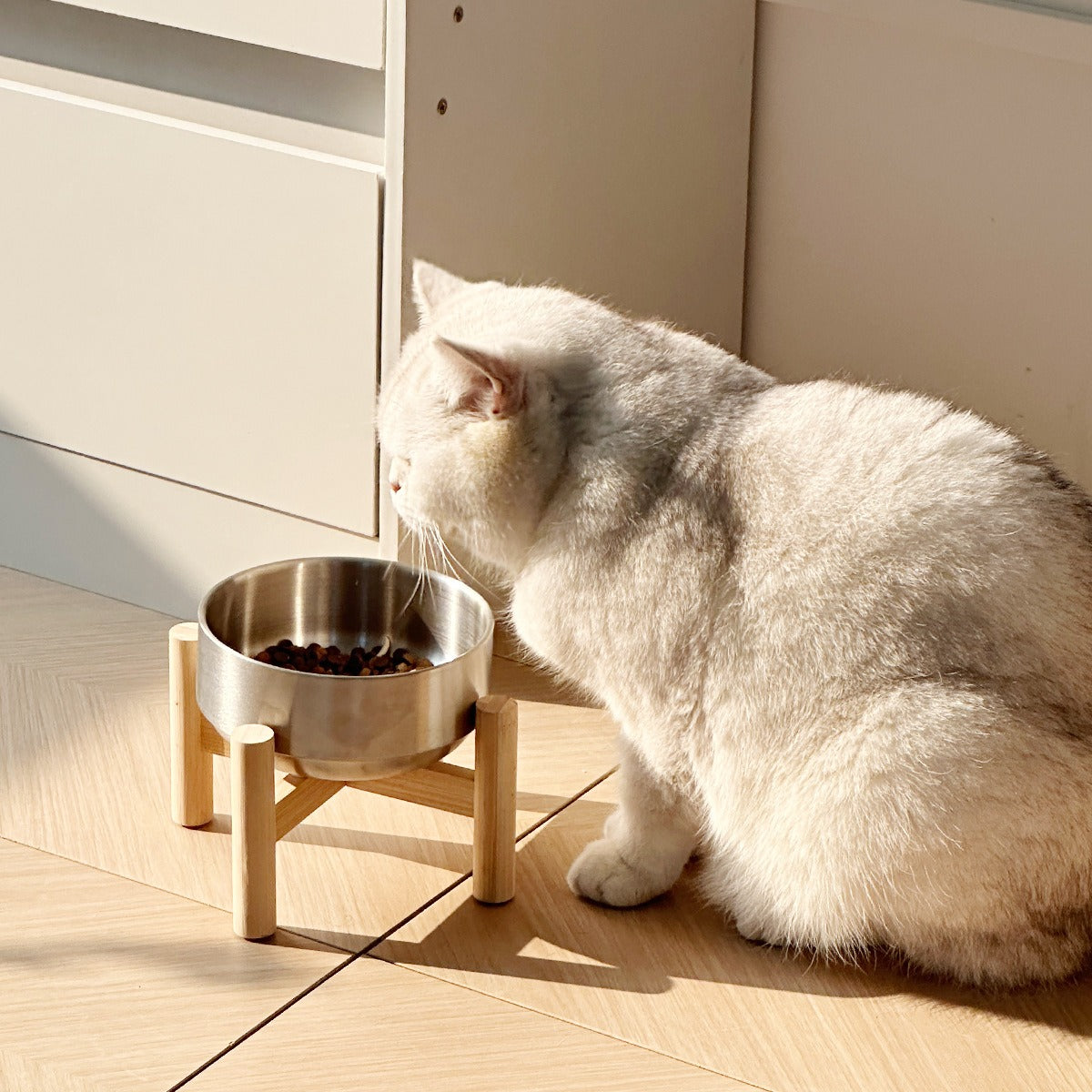 Elevated Pet Bowl – Stainless Steel set
