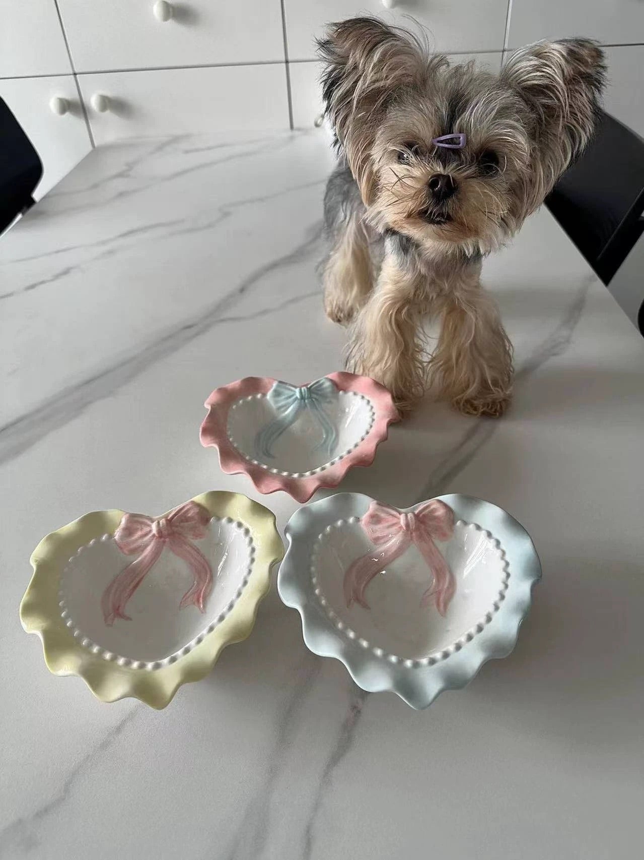 Elevated Ceramic Pet Bowl ｜Raised Design for Cats, Small Dogs