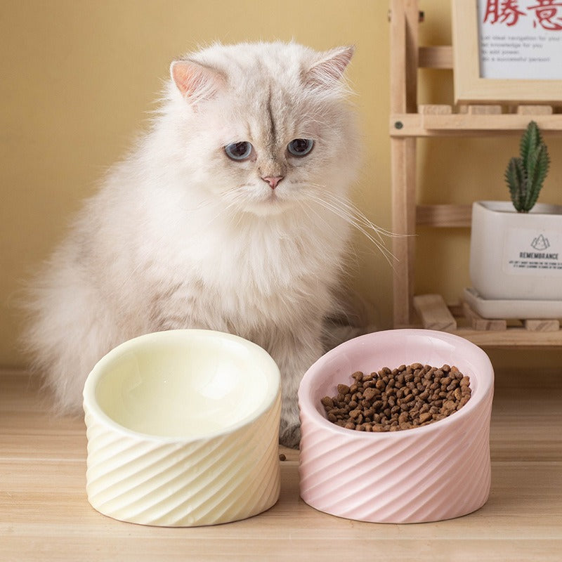 Elevated Tilted Ceramic Pet Bowl | Anti-Vomit for Cats & Small Dogs