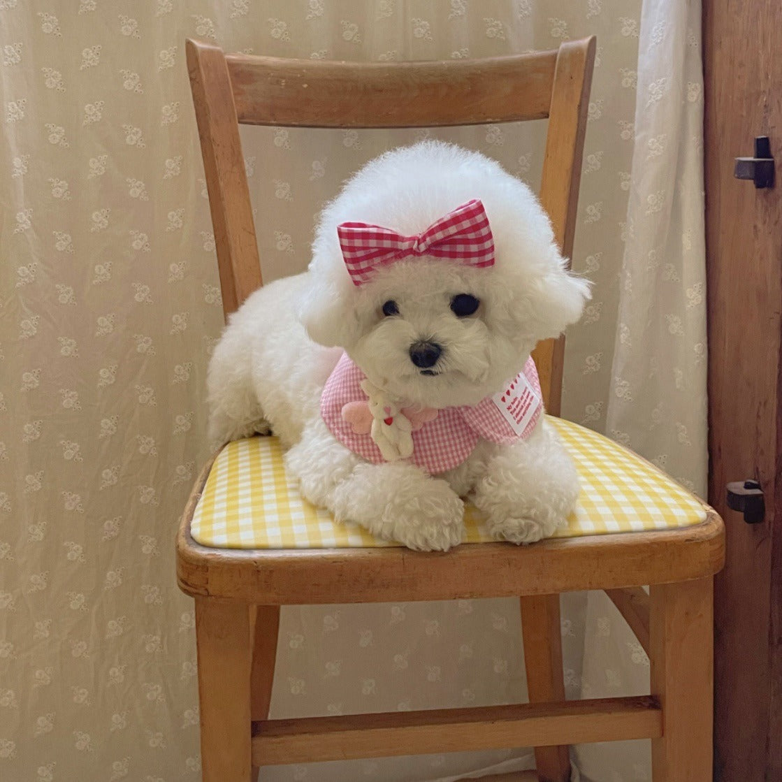 INS-Style Pet Neck Scarf – Breathable, Stylish & All-Season Wear for Cats and Dogs