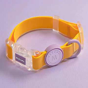 Waterproof Outdoor Dog Collar