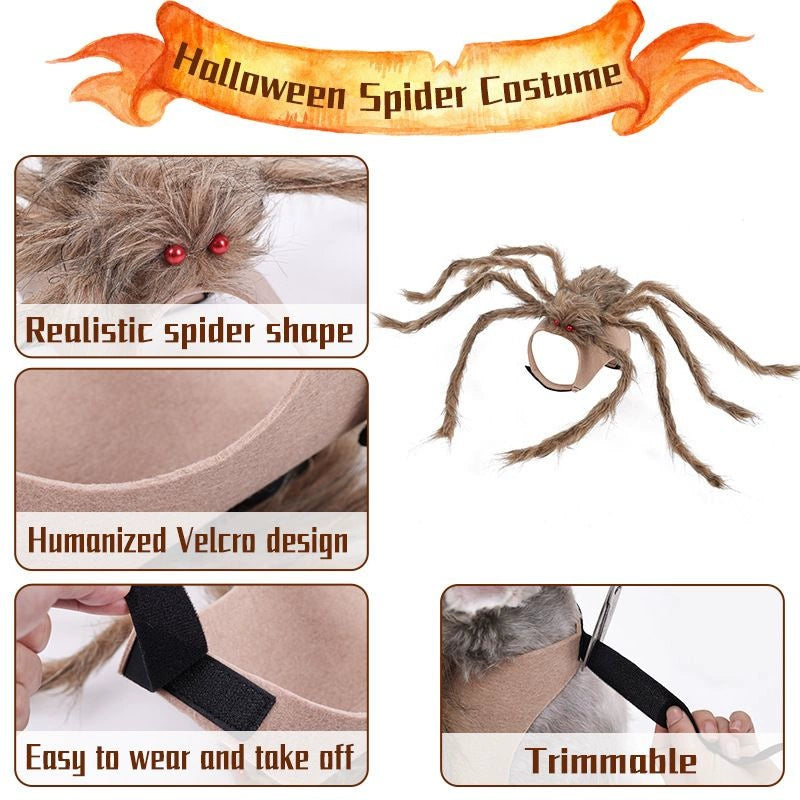 Halloween Pet Costume – Funny Spider Outfit for Dogs & Cats