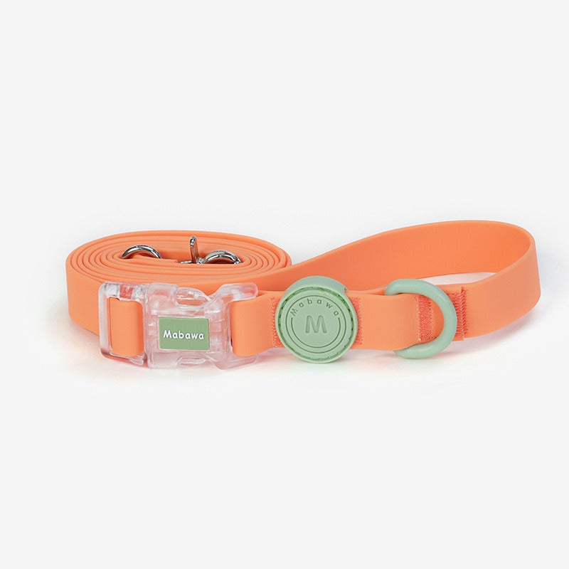 Waterproof Outdoor Dog Collar