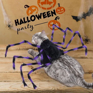 Halloween Pet Costume – Funny Spider Outfit for Dogs & Cats