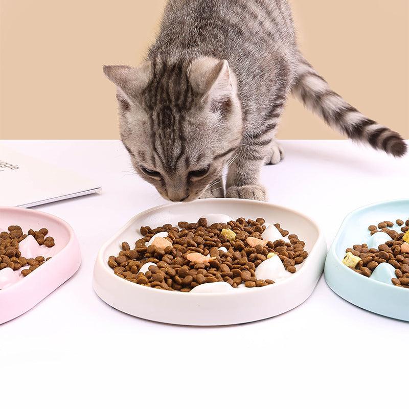 Ocean Series Feeder Bowl for Cats and Small Dogs - NoKa&AuroraStone