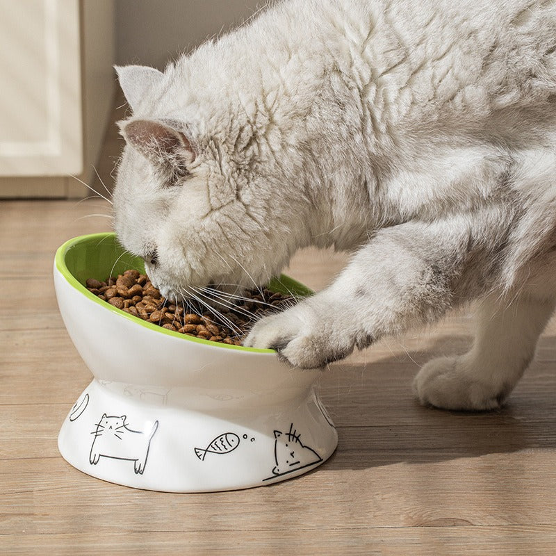 Elevated Tilted Ceramic Cat&dog Bowl |  Whisker-Friendly  pets up to 6kg