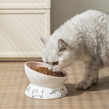 Elevated Tilted Ceramic Cat&dog Bowl |  Whisker-Friendly  pets up to 6kg