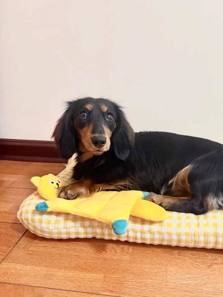2get 1 free Durable Squeaky Dog Toy – Interactive Chew Sound Toy for all Dogs