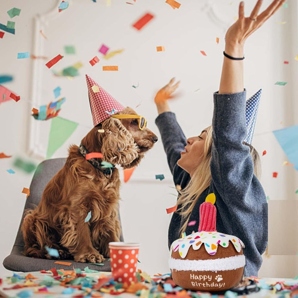 Pet Birthday Cake Squeaky Plush Toy – Durable & Chew-Friendly