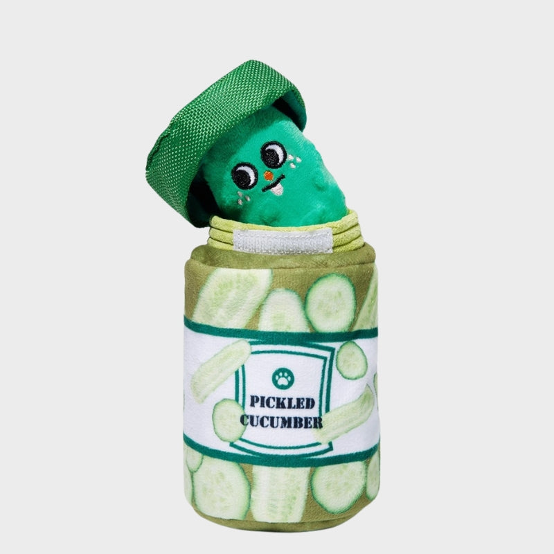 Dog Treat Can Toy